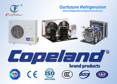 unità Copeland del compressore della cella frigorifera di parallelo del rotolo di 90 - di 15 HP ermetico