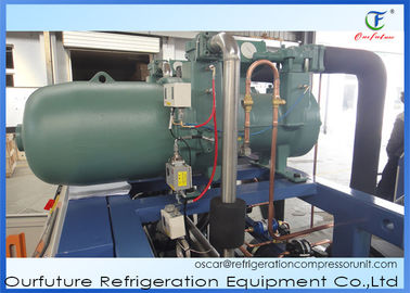 Unità di refrigerazione di condensazione della vite dell'unità del congelatore a basso rumore per le celle frigorifere