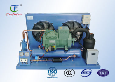 Unità del compressore di refrigerazione di R404a Bitzer, ricambiante passeggiata nell'unità di condensazione più fresca