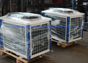 Bassa temperatura di condensazione ermetica dell'unità di Danfoss di conservazione frigorifera