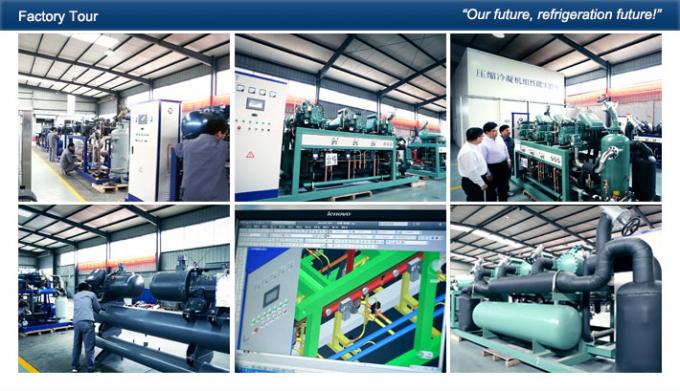 Tipo compressori del rotolo del deposito della carne di parallelo 15 - 90 cavalli vapore Danfoss ermetico