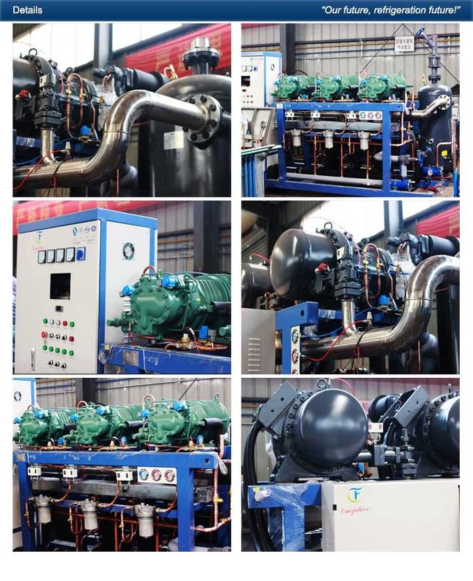 Carota di Anbell dell'unità di refrigerazione della stanza fresca che preraffredda conservazione frigorifera 400hp