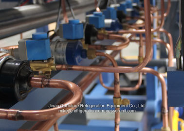 Gamma completa tipo pistone di condensazione dell'unità di refrigerazione dell'aria commerciale dell'unità