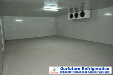 Evaporatore del dispositivo di raffreddamento di unità/unità leggeri di raffreddamento a aria con lo sbrinamento caldo del gas per la conservazione frigorifera