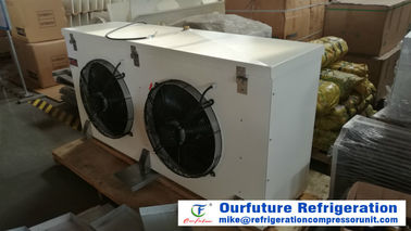 Evaporatore commerciale 380v 3Phase 50Hz del dispositivo di raffreddamento di unità del frigorifero con Danfoss, Siemens