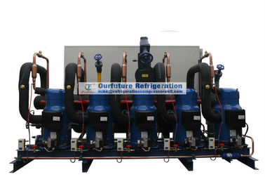 Faccia scorrere il tipo unità di condensazione con il compressore di Danfoss R404a ed il controllo dello SpA per il magazzino frigorifero