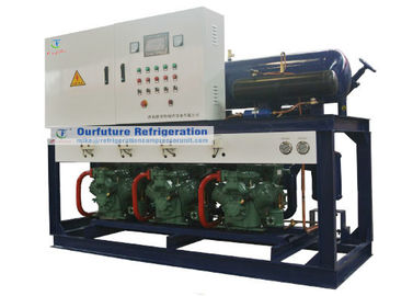 Unità tipo pistone a due fasi del compressore di refrigerazione di Bitzer per i congelatori ad aria compressa di R404a