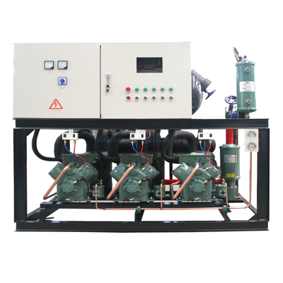 Compressore a pistoni paralleli Refrigeranti multipli Compressore a pistoni che supporta personalizzazione