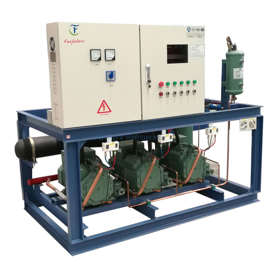 Compressore a pistoni paralleli Refrigeranti multipli Compressore a pistoni che supporta personalizzazione